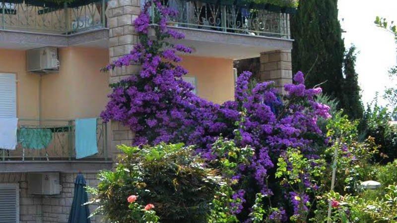 Villa Bencun Medulin Bagian luar foto